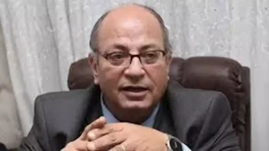 أستاذ تاريخ معاصر: تدمير الهوية يُعد أخطر تهديد يواجه الأمم