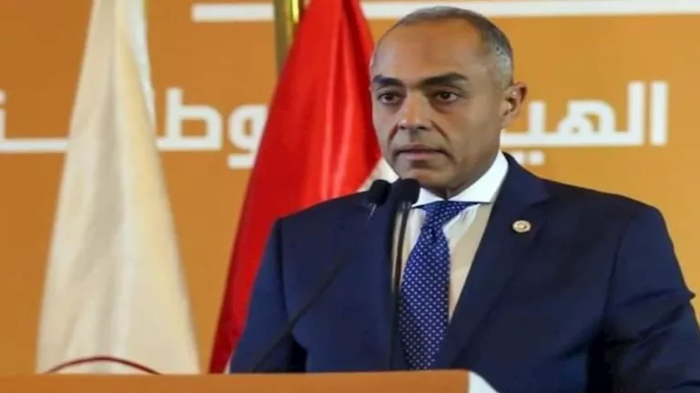 "إما إلغاء دوائر أو إبطال صناديق".. بنداري: لن نغض الطرف عن أي تجاوز والقرار غدًا