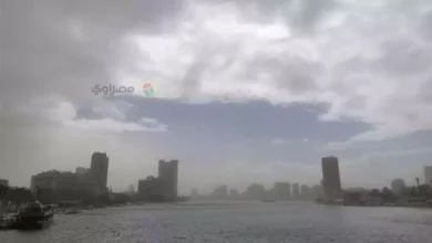 ارتفاع الحرارة وشبورة مائية.. الأرصاد تعلن تفاصيل طقس الـ5 أيام المقبلة