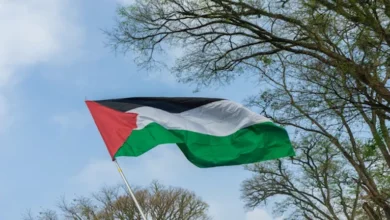 الأمم المتحدة تعتمد قرار بحق الشعب الفلسطيني في تقرير المصير