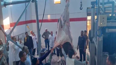 التنمية المحلية: بدء التشغيل التجريبي لمجزري "الحبيل وهو" بالصعيد استعدادًا للافتتاح
