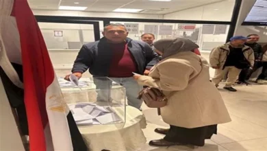 الجالية المصرية بإيطاليا يشاركون في المرحلة الثانية بانتخابات مجلس النواب