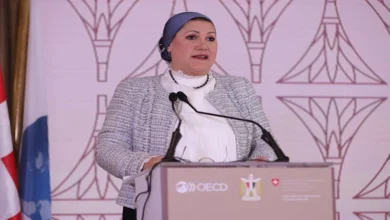 "الطفولة والأمومة" يشيد بقرارات وزارة التعليم بشأن واقعة مدرسة "سيدز الدولية"