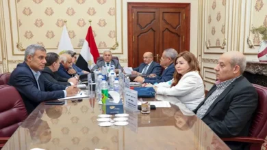 "الوطنية للصحافة" تُطلق اسم سناء البيسي على جائزتها للتفوق الصحفي