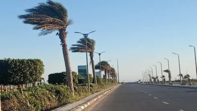 انخفاض الحرارة ونشاط للرياح.. الأرصاد تعلن تفاصيل طقس الـ6 أيام المقبلة