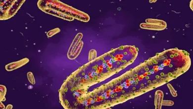 بسبب فيروس "ماربورج" القاتل.. إثيوبيا تؤكد تسجيل 3 وفيات