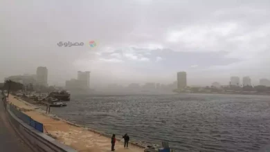 تصل إلى القاهرة.. الأرصاد تعلن خريطة الأمطار الرعدية غدًا وتوجه تحذيرات مهمة