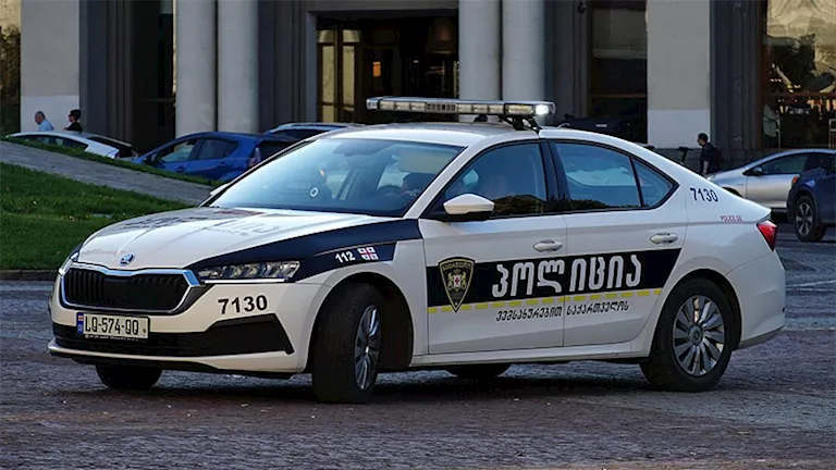 جورجيا.. اعتقال زعيم بارز من المعارضة بعد الاشتباه في محاولته إحراق محكمة