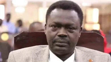 حاكم دارفور: مصر تحمي وحدة السودان ونازحو الفاشر في خطر شديد