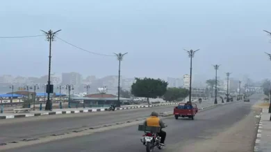 حالة الطقس غدًا.. "الأرصاد": شبورة مائية بهذه المناطق