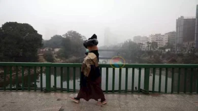 حالة الطقس غدًا.. شبورة وأمطار بهذه المناطق