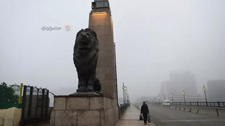 حالة الطقس ودرجات الحرارة المتوقعة اليوم الاثنين 24-11-2025.. شبورة وأمطار