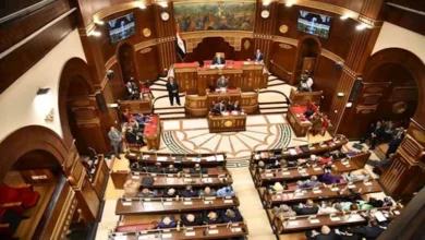 حبس وغرامة.. "تشريعية الشيوخ" توافق على تغليظ عقوبة سرقة الكهرباء