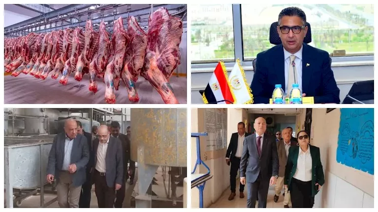 حدث في 8ساعات| الكهرباء تعلن عن وظائف شاغرة.. وتغير مفاجئ في الطقس