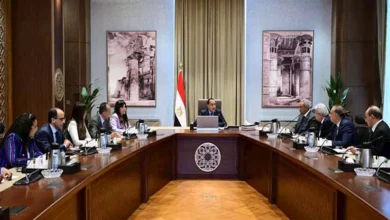 رئيس الوزراء يلتقي أعضاء اللجنة الاستشارية للشئون السياسية