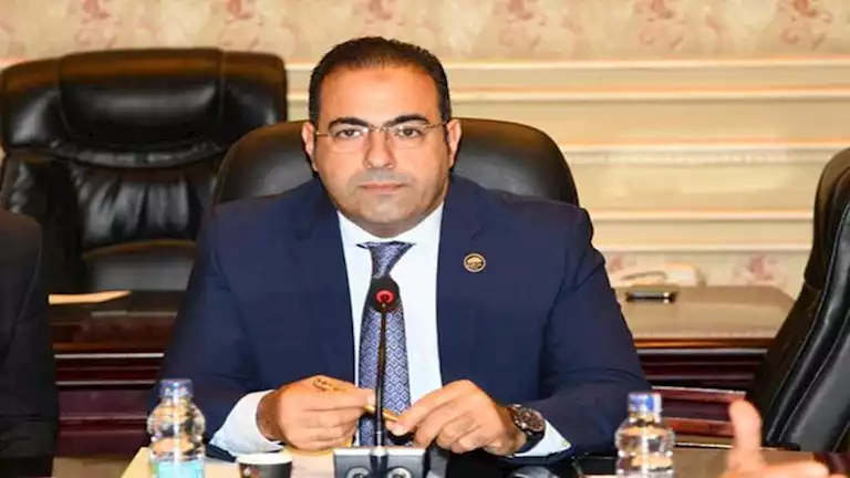 "شباب المصريين بالخارج" يثمن الإقبال الكبير من أبناء الجاليات المصرية بالانتخابات البرلمانية