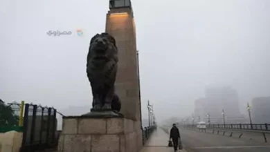 شبورة مائية وأمطار ورياح.. الأرصاد تعلن طقس الـ6 أيام المقبلة