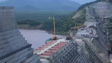 شراقي: تشغيل بعض توربينات سد النهضة وتدفق المياه نحو السد العالي