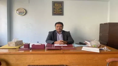 كيف نجحت وزارة الزراعة في إنتاج الفاكهة الإستوائية؟