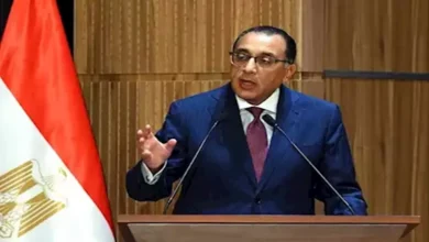 مدبولي: مصر لديها القدرة على تحقيق اكتفاء ذاتي من القمح