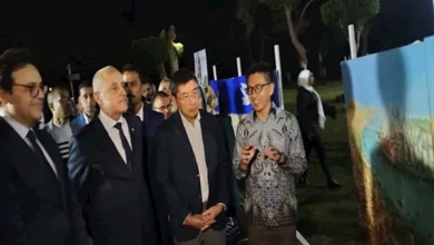 وزير الثقافة ومحافظ الأقصر يفتتحان المعرض الجماعي لملتقى التصوير