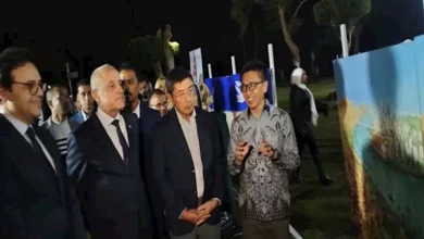 وزير الثقافة يعلن إقامة سمبوزيوم مدن مصر الأول في أسوان