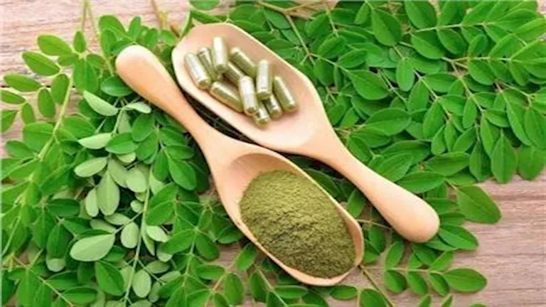 10 قطرات مرتين يوميًا.. تعرف على فوائد "المورينجا" للأطفال