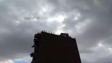 أمطار تمتد للقاهرة وشبورة مائية.. الأرصاد تعلن طقس الساعات المقبلة