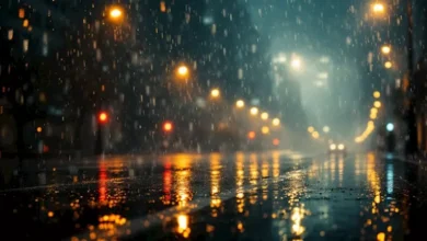 استمرار الأمطار على القاهرة ونشاط للرياح.. الأرصاد تصدر تنويهًا بشأن الطقس الآن