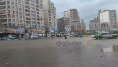 الأرصاد تكشف حالة الطقس غدًا وتحذر من الشبورة المائية