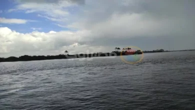 الأرصاد: سحب رعدية كثيفة تضرب الوجه البحري والقاهرة الكبرى