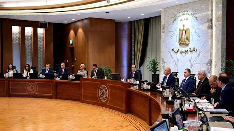 التحصينات بـ41 جنيهًا.. جهود الحكومة لمكافحة الحمى القلاعية