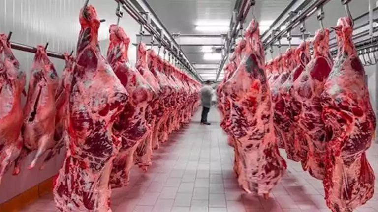 "الجزار مظلوم".. شعبة القصابين تكشف موعد ارتفاع أسعار اللحوم بالأسواق