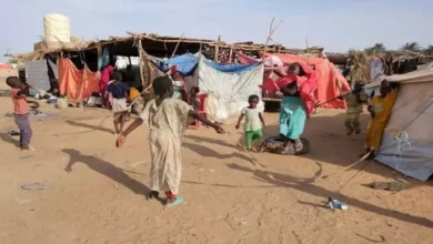 الخارجية السودانية تدين مذبحة الدعم السريع في كلوقي