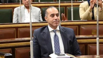 المستشار محمود فوزي يكشف السبب الرئيسي لتعديل قانون الكهرباء