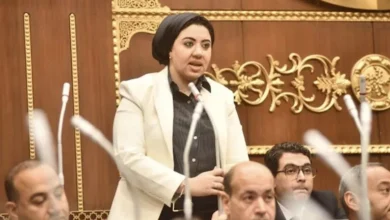 النائبة أميرة صابر تكشف أسباب اعتراضها على قانون الكهرباء