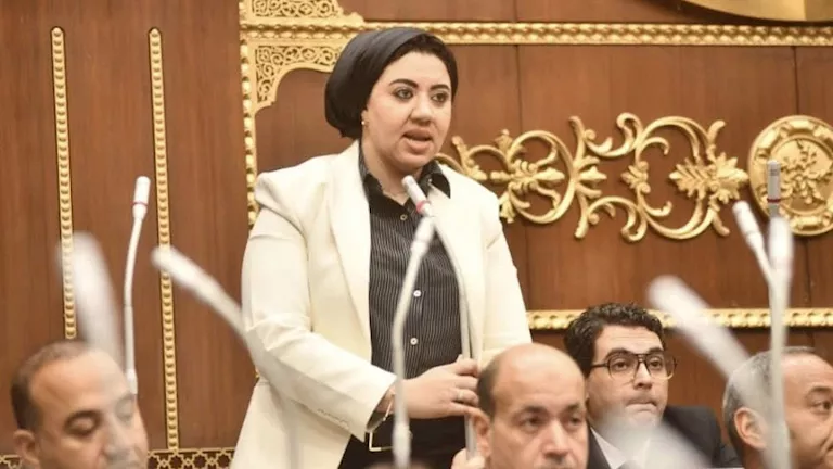 النائبة أميرة صابر تكشف أسباب اعتراضها على قانون الكهرباء
