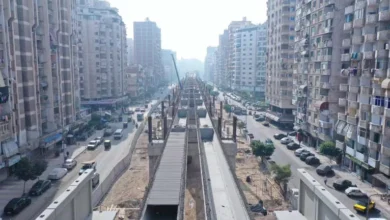 بالتنسيق مع "أوراسكوم".. "العمل" تختبر 340 عاملًا بمشروع مترو الإسكندرية