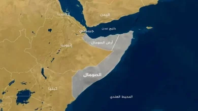 برلماني: اعتراف إسرائيل بأرض الصومال جريمة دولية تسهم في زعزعة الأمن الإفريقي