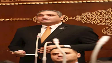 برلماني: خسائر سرقة الكهرباء بلغت 50 مليار جنيه.. والتعديلات تفرض الردع