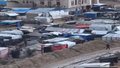 بريطانيا واليابان ودول أوروبية: 740 ألف غزّاوي معرضون لخطر الفيضانات السامة