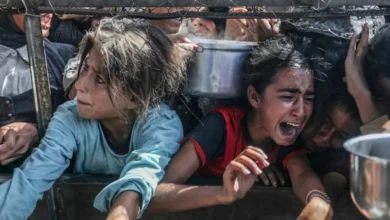 بين انتشار الجرب والتجويع.. تقرير إسرائيلي يكشف أحوال الفلسطينيين في سجون الاحتلال