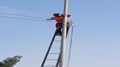 تجنب ملامسة مهمات الشبكة.. "الكهرباء" تُصدر تحذيرات عاجله بعد هطول الأمطار