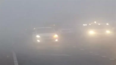 "تصل لحد الضباب".. الأرصاد تحذر من شبورة كثيفة تعيق الرؤية