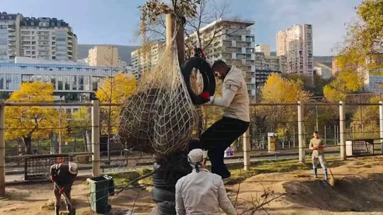 تطوير حديقتي الحيوان والأورمان.. 11 صورة لبيوت وتدريب الأفيال