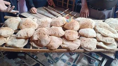 تفعيل الكارت الموحد لصرف التموين والخبز ببورسعيد في أبريل 2025