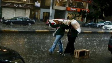 حالة الطقس اليوم الأربعاء.. الأرصاد تحذر المواطنين من الشبورة والأمطار