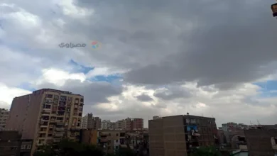حالة الطقس غدا.. سحب منخفضة على هذه المناطق وبرودة شديدة هذه الفترة