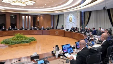 حزمة قرارات خدمية بالصعيد.. الحكومة تخصص 240 فدانًا للصناعة وقطع أراضٍ جديدة للجبانات