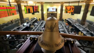 حسن الصادي: طرح البورصة للاكتتاب الأجنبي قد يؤدي لتدمير الاقتصاد